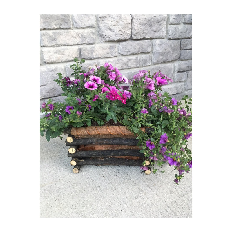 Boîte à fleurs à tistis/à fleurs Lola