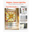 Plants & Flowers Window Panel