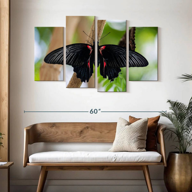 Brampt Swallowtail Butterfly