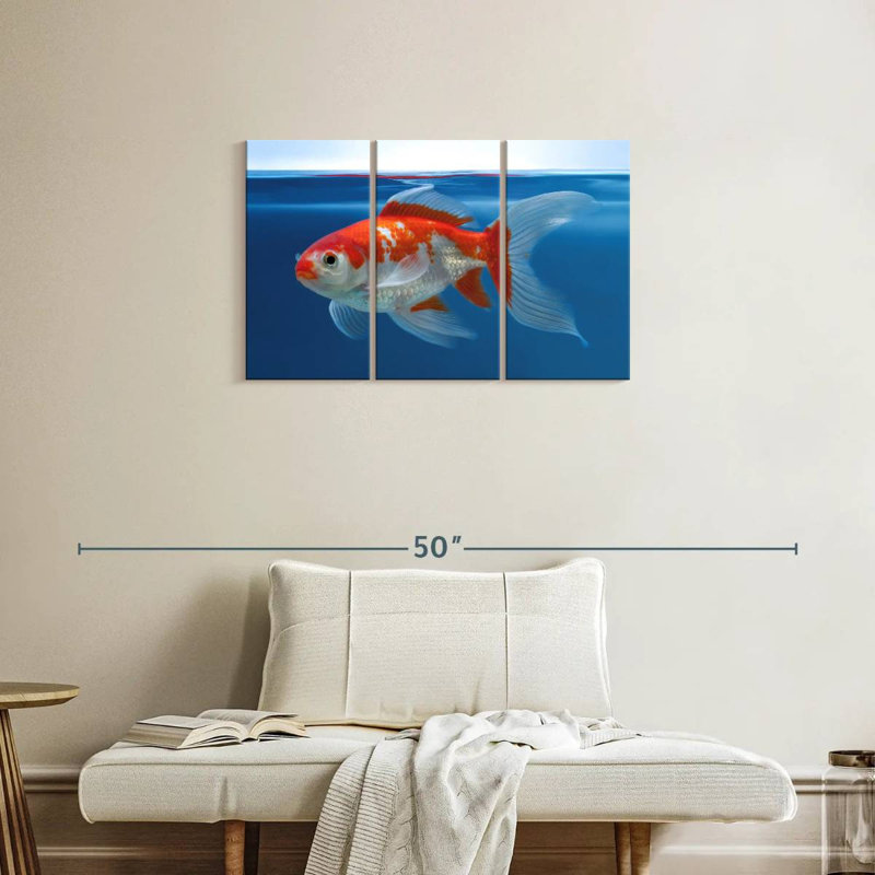 Aquarium Brampt Shubunkin poisson rouge, H 20 po x l 33 po