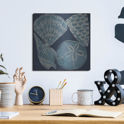  «Marine Shells 4» par Chariklia Zarris, art mural en métal, 12 po x 12 po