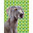 Weimaraner sélectionné