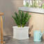 Jardinière d'extérieur-1832625112
