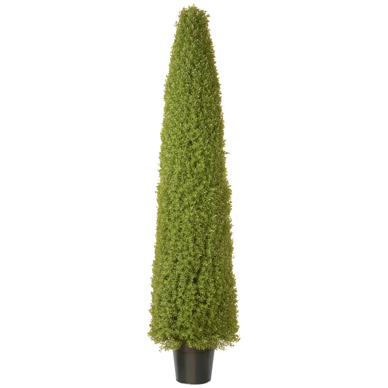 Faux Boxwood Topiary in Pot, 72" H x 17" W x 17" D