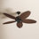 52" Outdoor Ceiling Fan
