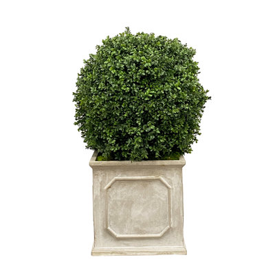 36 " H Faux Boxwood Topiary in Fiberstone Planter