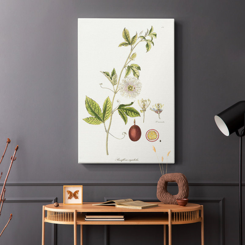 Passion Flower Trio II -Galery Enveloppé Cavas, H 27 po x l 18 po