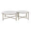 Zaidee Marble Top & Nickel Finish Nesting Table Set