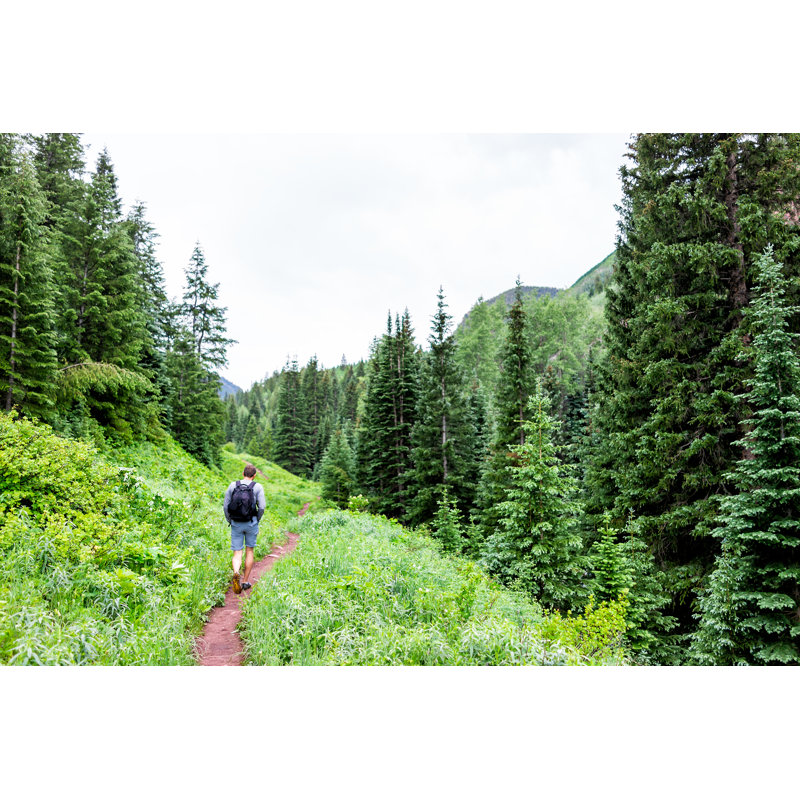 Dirt Road Hike by Krblokhin - Wrapped Canvas Print, 30cm H x 46cm W x 3.8cm D
