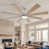 Brushed Nickel with Gray Wood/Natural Wood Blades selected