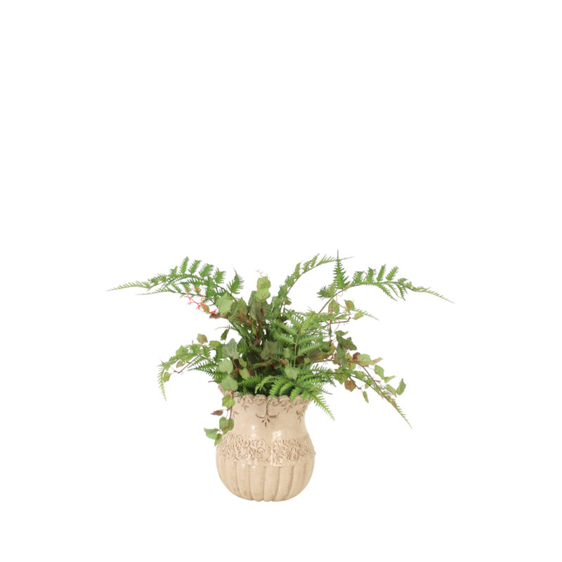 Plante grasse artificielle 18 po dans un vase décoratif