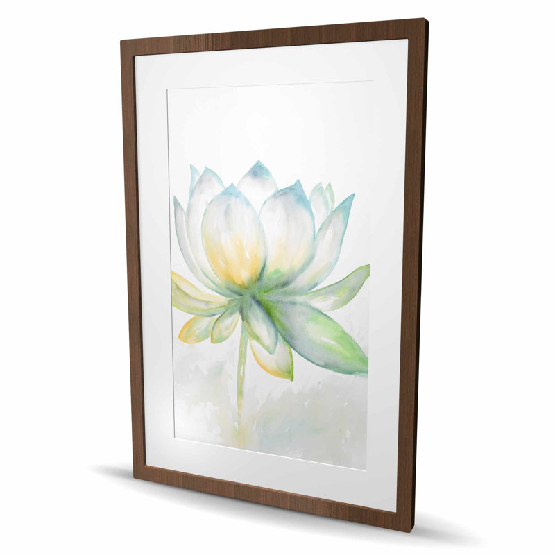 Lotus Flower - Green Living