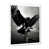 White Single Picture Framed
