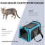 Chiens transportant des chats et des chiots-660813322-660813324