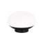Table Lamp-383623523