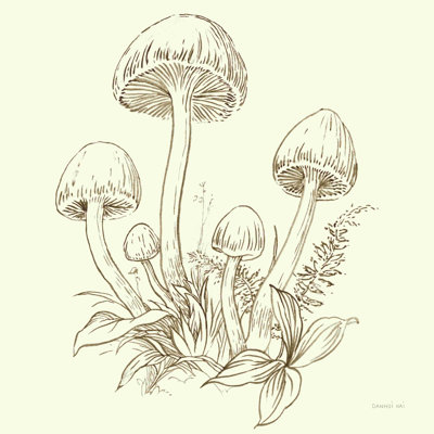 «Nature Sketchebook IX Brown» par Danhui Nai, reproduction d'art sur toile tendue
