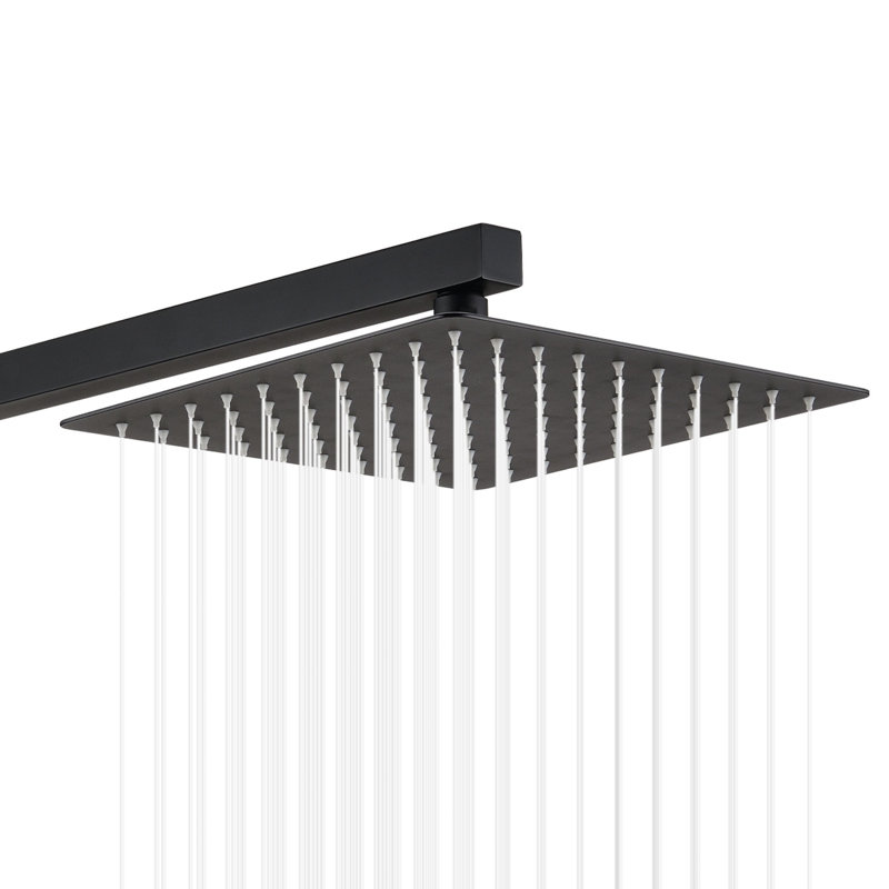 Rain Adjustable Shower Head 2.5 GPM GPM, Matte Black