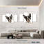 Brampt Little Boston Terrier-108837930
