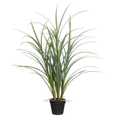Herbe en pot en faux oignon