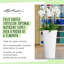 Plant Substrate-55087961