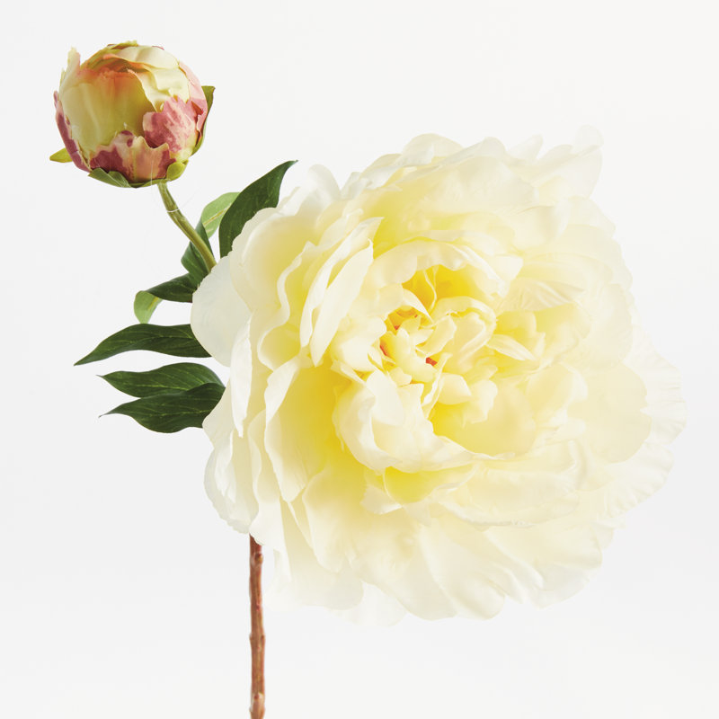 21-Inch Peony Stem, Yellow