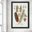 Sapin botanique par Kelly Donovan - Peinture-139371981-139371989