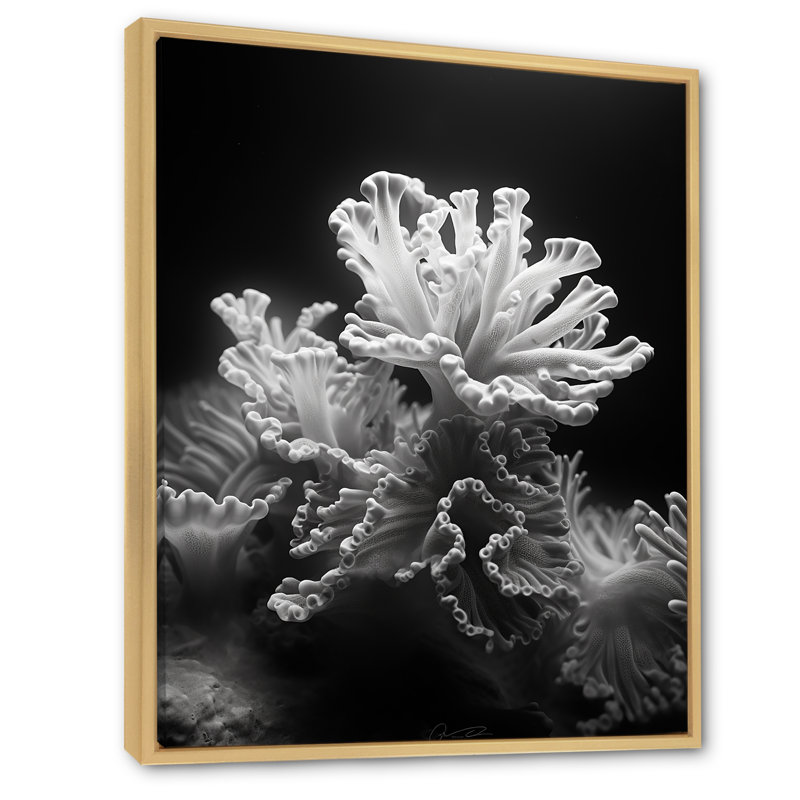 «Black and White Coral Anemone Kingdom», reproduction d'art sur toile plage et océan, H 32 po x l 24 po x P 1 po