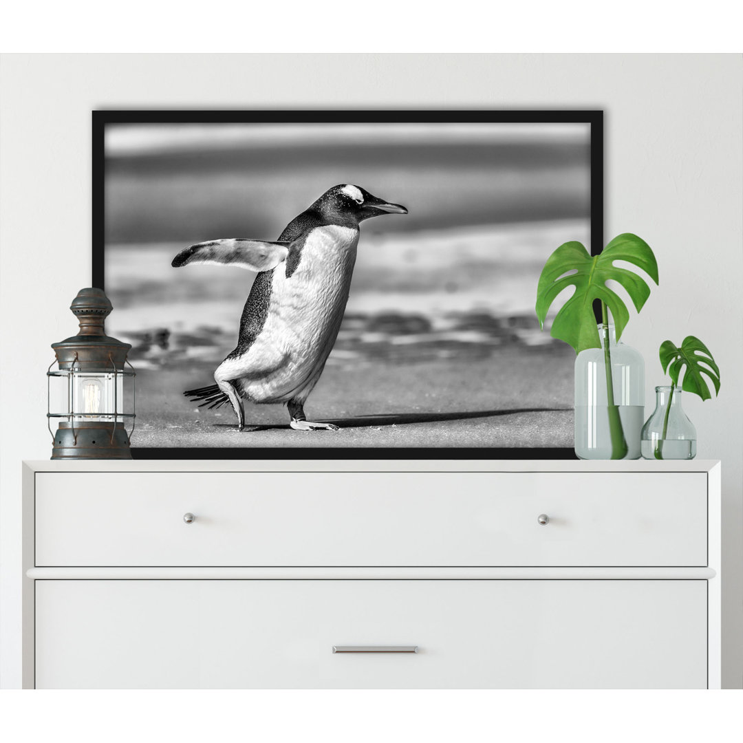 Pinguin Am Strand - Poster Im Rahmen