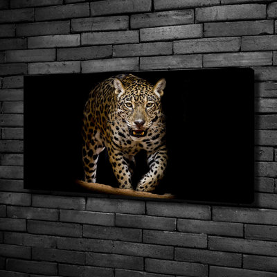 Jaguar - No Frame Print on Canvas