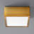 Pyxis Acrylic Flush Mount-19929020