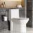 One Piece Toilet, Elongated Dual Flush 0.8/1.28 Gpf, Powerful Top Flush