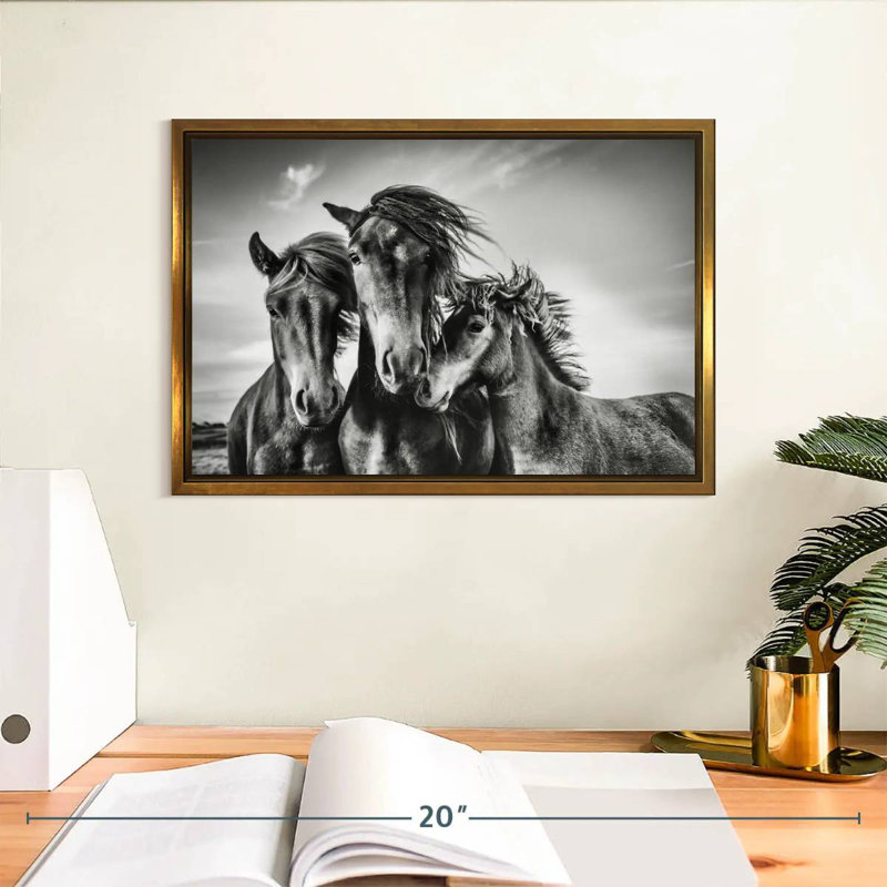 Chevaux Lemvig, Cadre flottant doré, 13 po x 9 po