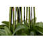155cm Faux Flowering Plant in Pot