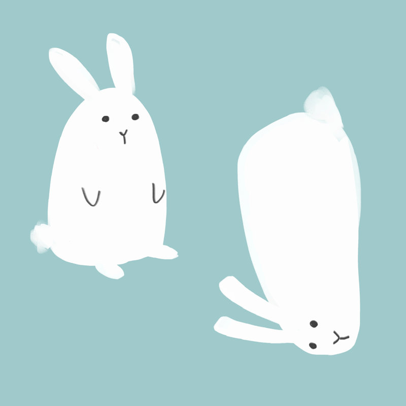 Simple Staring Bunnies - Wrapped Canvas Print, 122cm H x 122cm W x 3.8cm D