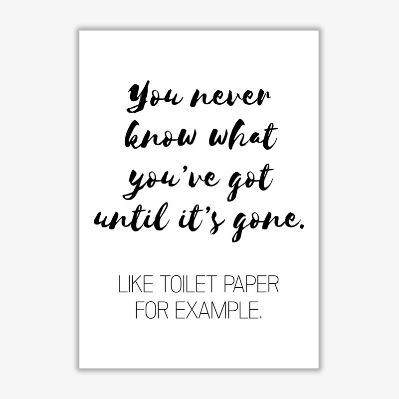 Toilet Paper - Print, No Frame, 30 cm H x 21 cm W x 1 cm D
