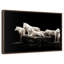 Loups blancs-962901609-962901601