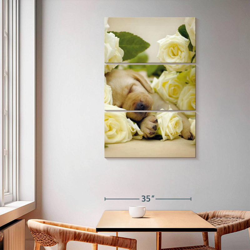 Brampt Oscar I, 65" H x 42" W