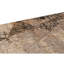 Abstract Area Rug in Brown