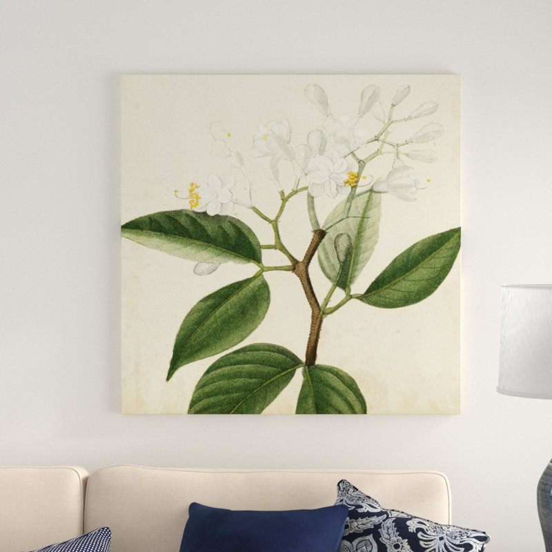 Garden Bounty VI - Wrapped Canvas Print, 91cm H x 91cm W
