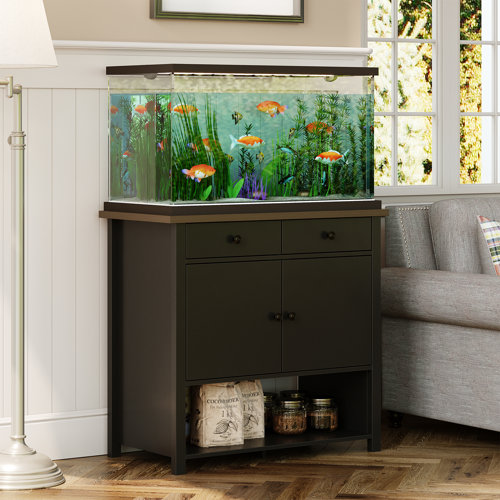 Wayfair | Aquarium Stand You'll Love in 2023