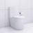 Elongated One Piece Toilet White