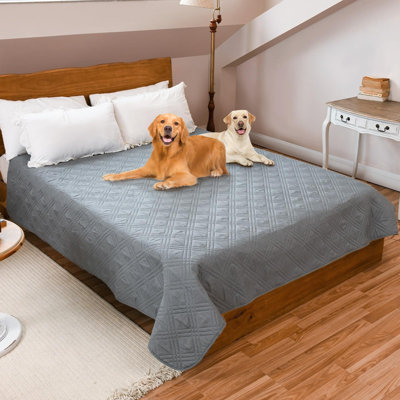 Pet Blanket