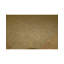 Wool Oriental Area Rug in Brown