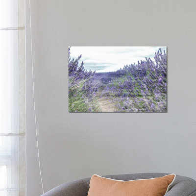 Lavender Field by Kimberly Allen - Wrapped Canvas Gallery-Wrapped Canvas Giclée