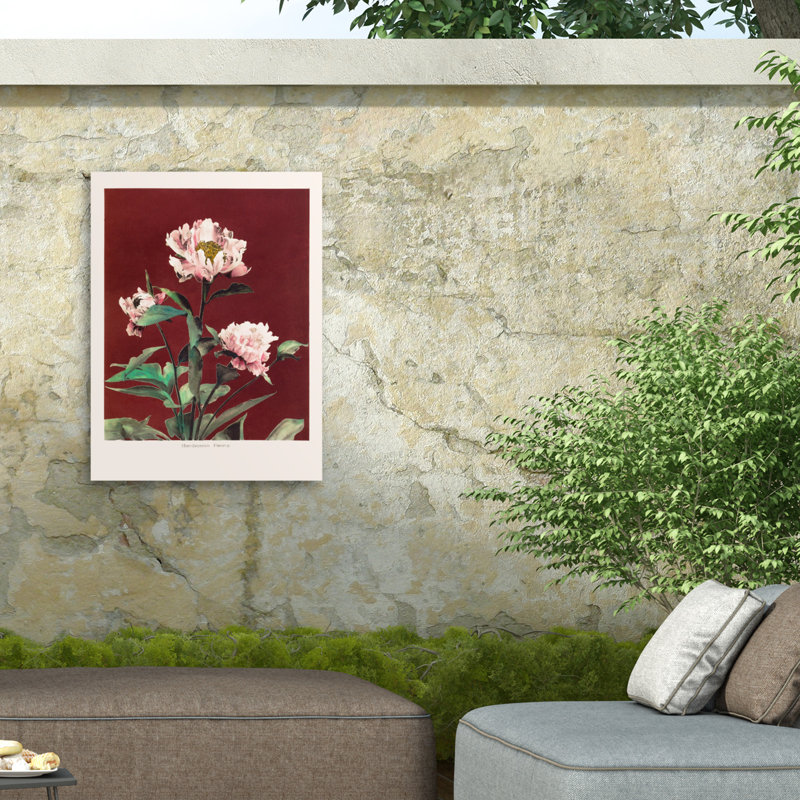 «Bolony pictufy habrdaceous pivoine no2» sur toile, H 47 po x l 35 po