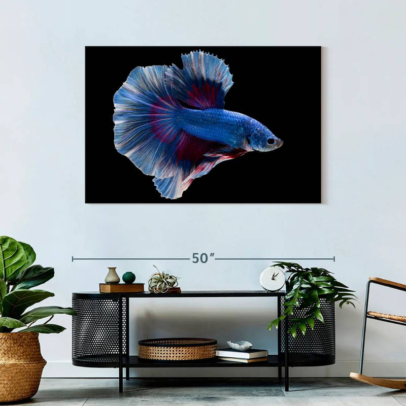 Elegant Blue Betta, 30" H x 45" W