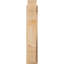 Sapin Douglas-31581128-31648187
