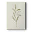 Olive Leaves III -Galerie enveloppée Cavas