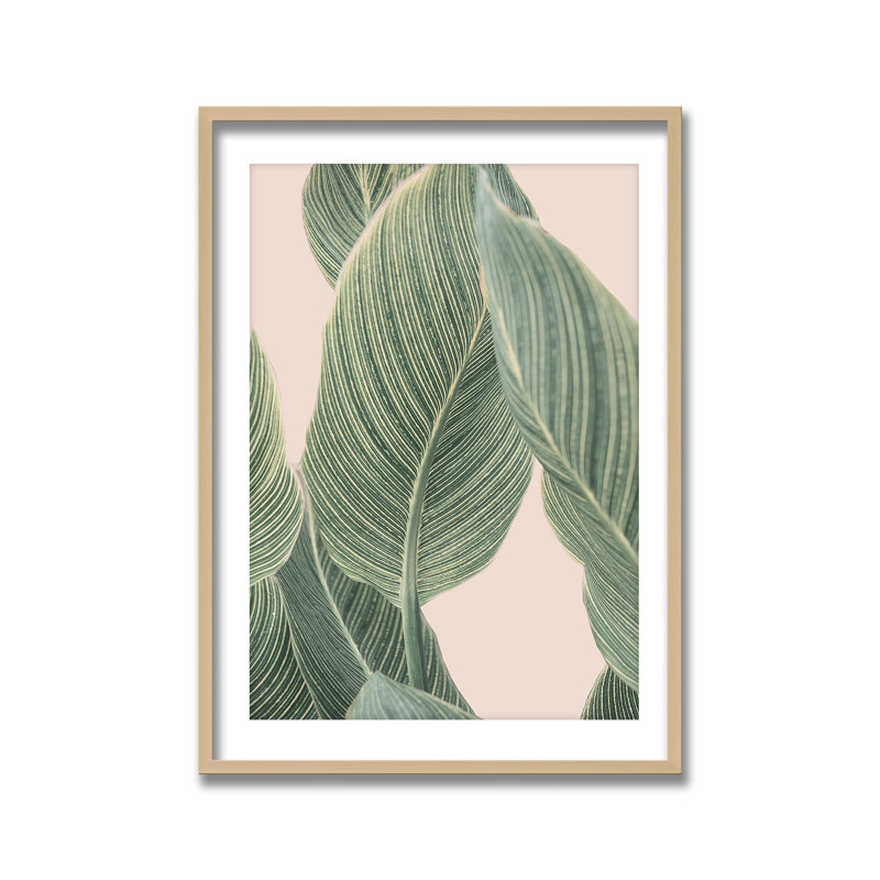 Coastal Retreat Calla Leaf by  - Picture Frame Graphic Art on Paper, 24" H x 16" W