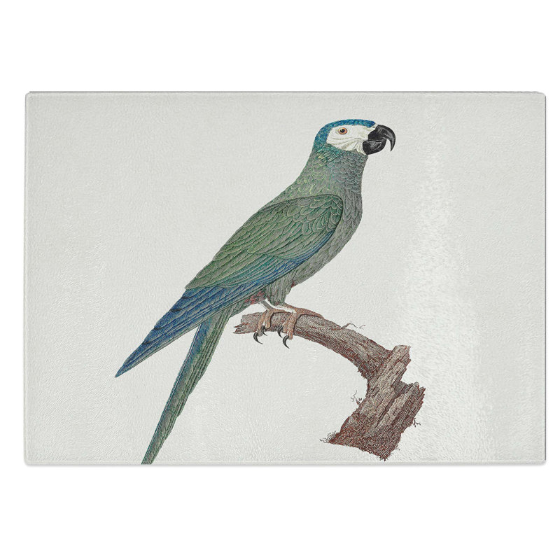 Tempered Glass Bellied Macaw Parrot by F. Levaillant Chopping Board, 39 cm W x 28.5 cm L